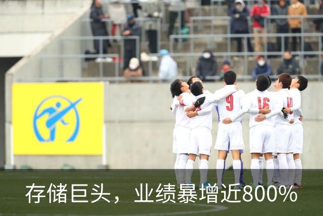 存储巨头，业绩暴增近800%