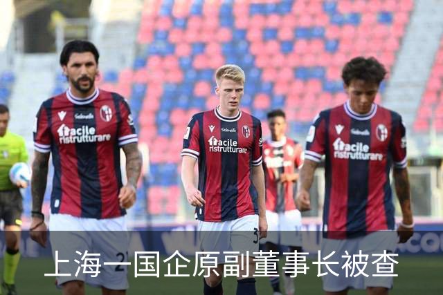 上海一国企原副董事长被查