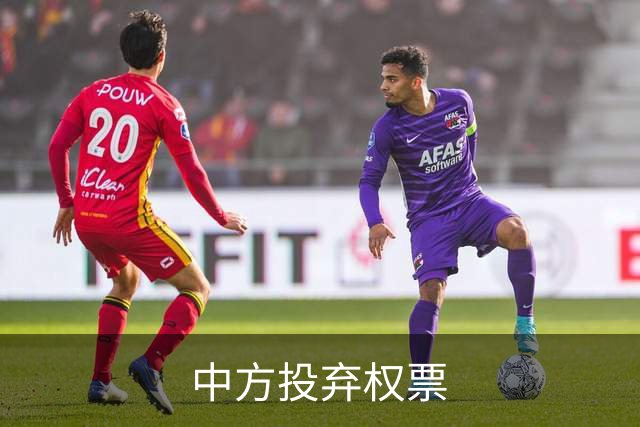中方投弃权票