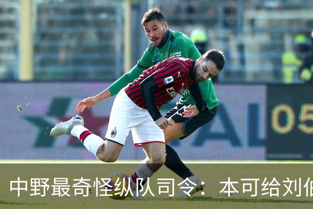 中野最奇怪纵队司令：本可给刘伯承当副手，为何只指挥一个纵队