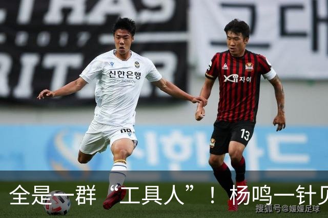 全是一群“工具人”！杨鸣一针见血：中国男篮凭什么赢日本？