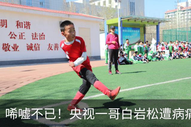 唏嘘不已！央视一哥白岩松遭病痛煎熬，满头白发，夫妻仅纸条交流