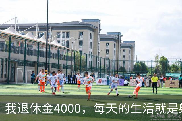 我退休金4000，每天的生活就是躺平，感觉有点无聊，想上班又怕累，好纠结