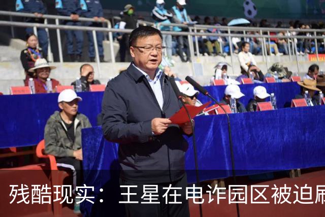 残酷现实：王星在电诈园区被迫刷脸借贷，被救1年多，仍分期还钱