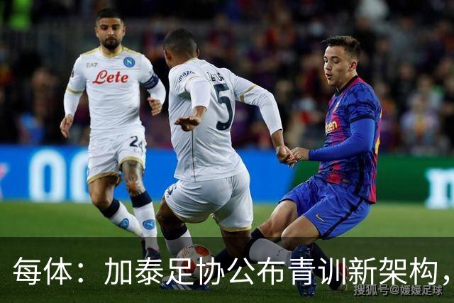 每体：加泰足协公布青训新架构，奥尔莫之父担任U16梯队技术主管
