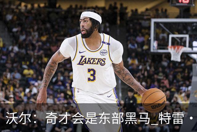 沃尔：奇才会是东部黑马 特雷·杨和浓眉有实力关键看健康
