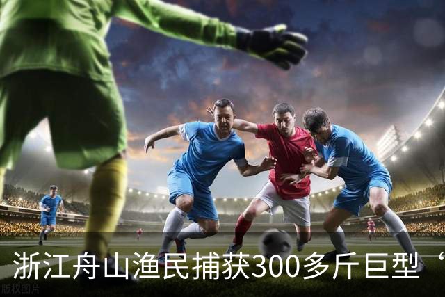 浙江舟山渔民捕获300多斤巨型“怪鱼”，已放归大海，经辨认系翻车鱼，是已知世界上生殖力最强的脊椎动物；网友：以为是一块大石头