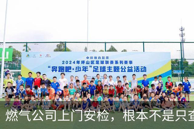 燃气公司上门安检，根本不是只查漏气！真正目的其实是这二件事