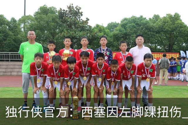 独行侠官方：西塞因左脚踝扭伤 本场比赛不会回归