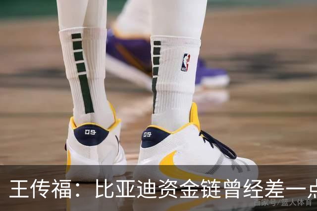 王传福：比亚迪资金链曾经差一点断掉