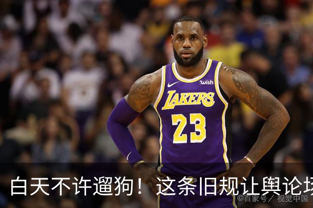 白天不许遛狗！这条旧规让舆论场撕裂了