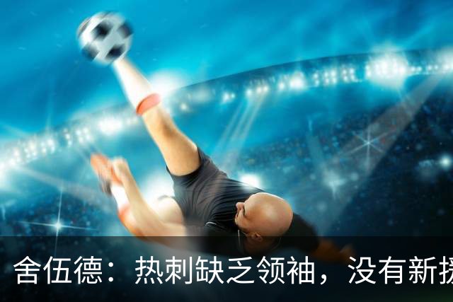 舍伍德：热刺缺乏领袖，没有新援让人印象深刻