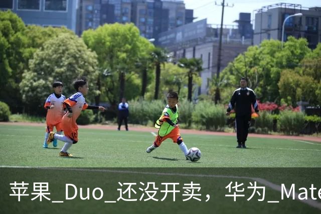 苹果 Duo 还没开卖，华为 Mate X8 已入网：11 月两折叠直接炸场