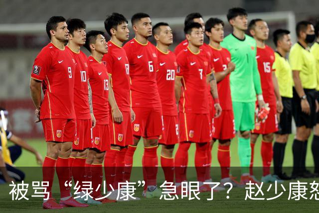 被骂“绿少康”急眼了？赵少康怒呛：受到谁的指使？赵少康不演了