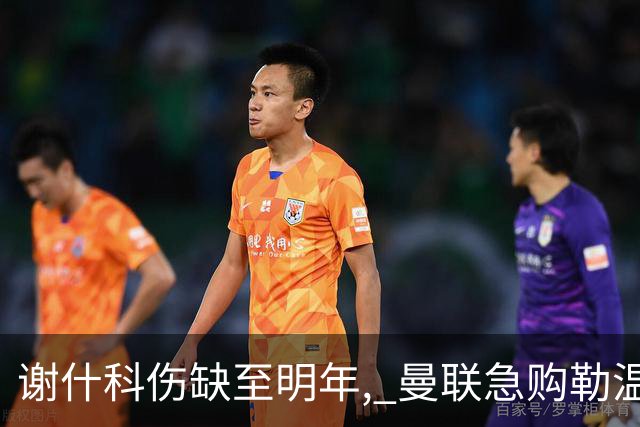 谢什科伤缺至明年, 曼联急购勒温补锋线