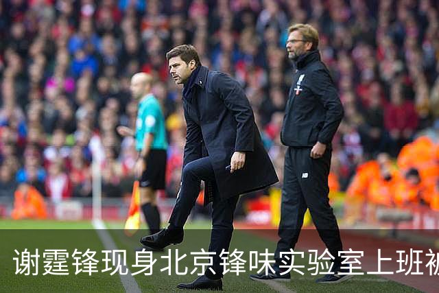 谢霆锋现身北京锋味实验室上班被围观了