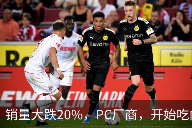 销量大跌20%，PC厂商，开始吃内存的苦了
