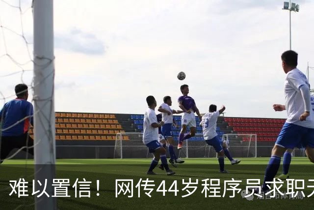 难以置信！网传44岁程序员求职无果酿成悲剧，网友：在AI冲击下，未来程序员会成为最烂的职业