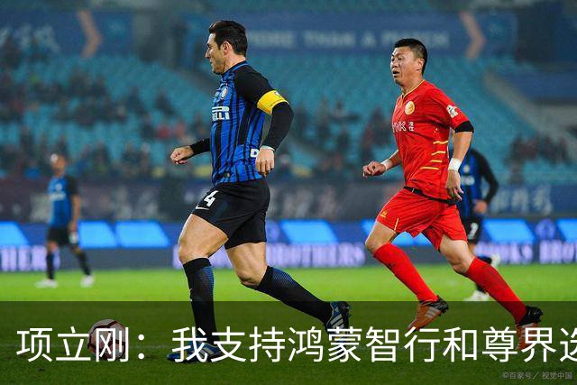 项立刚：我支持鸿蒙智行和尊界选择硬刚