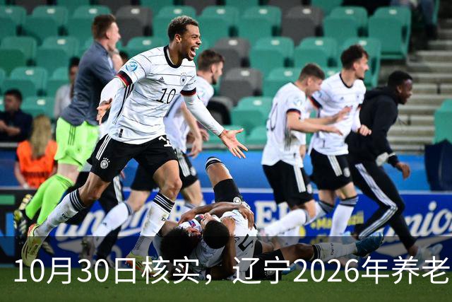 10月30日核实，辽宁2026年养老金调整通知，今天正式已发布了吗？