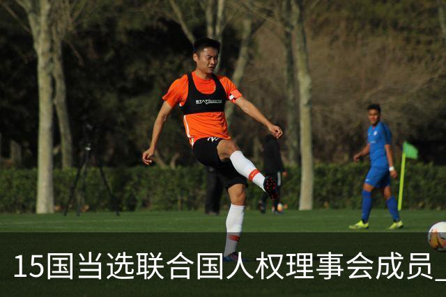15国当选联合国人权理事会成员 其中6国连任