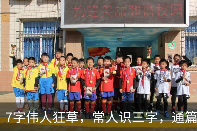 7字伟人狂草，常人识三字，通篇尽晓方为行家——为何世人独尊楷书，却视草书为胡乱涂鸦？